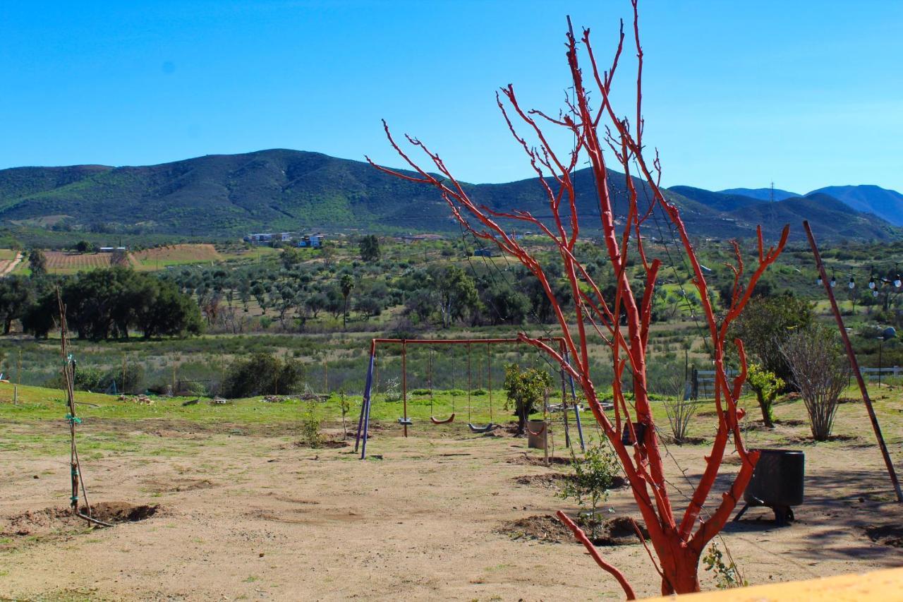 Rancho Matalote En Valle De Guadalupe Valle de Guadalupe Exterior foto
