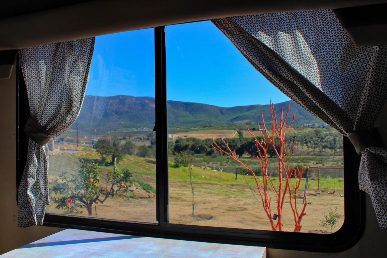 Rancho Matalote En Valle De Guadalupe Valle de Guadalupe Exterior foto