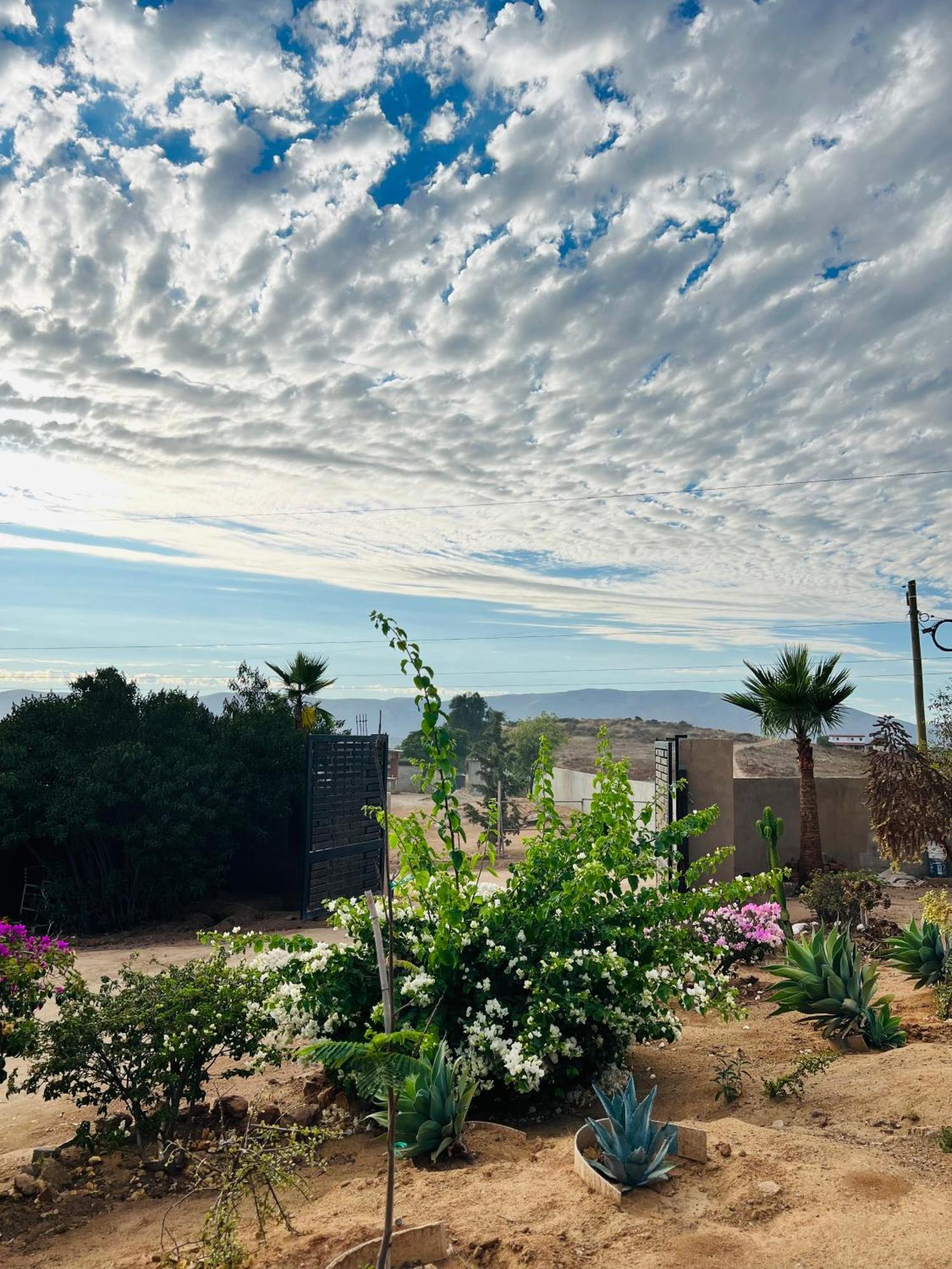 Rancho Matalote En Valle De Guadalupe Valle de Guadalupe Exterior foto