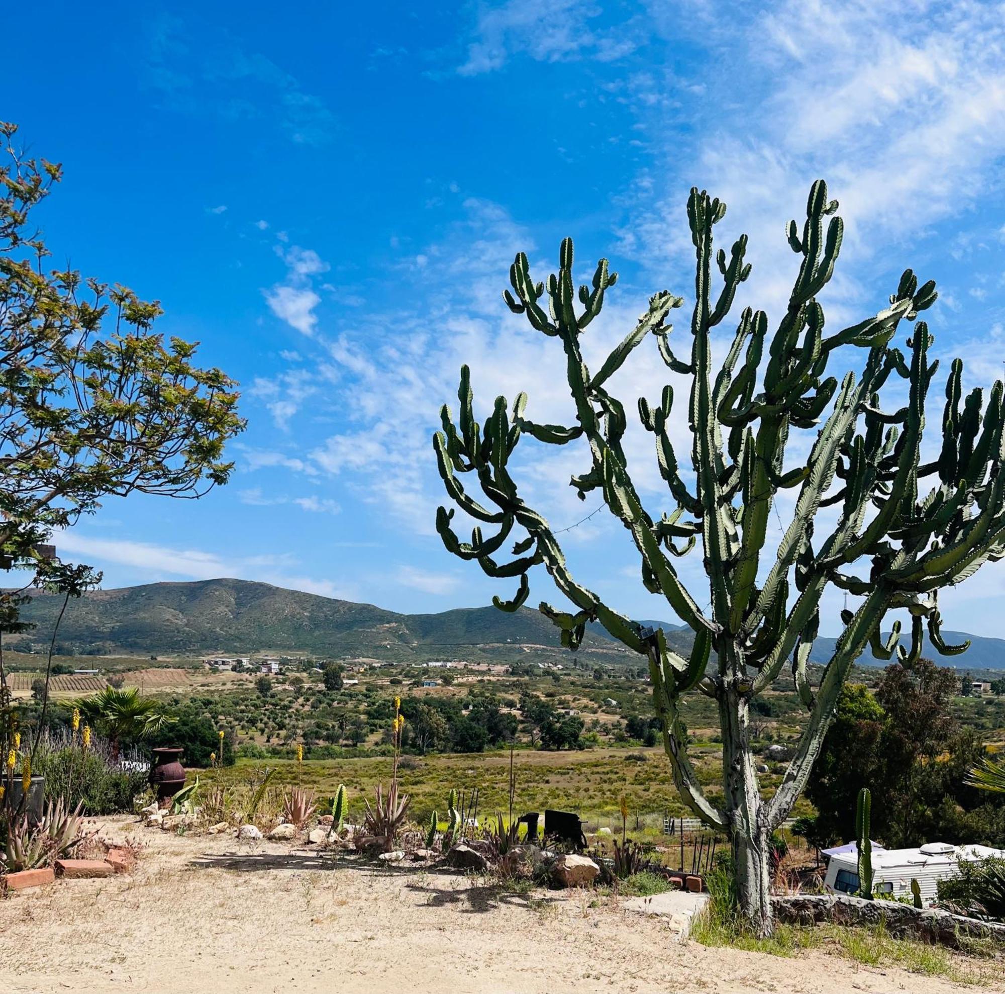 Rancho Matalote En Valle De Guadalupe Valle de Guadalupe Exterior foto